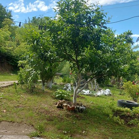 Mero House Кутаїсі Екстер'єр фото