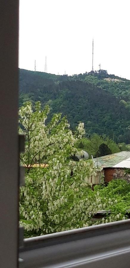 Mero House Кутаїсі Екстер'єр фото